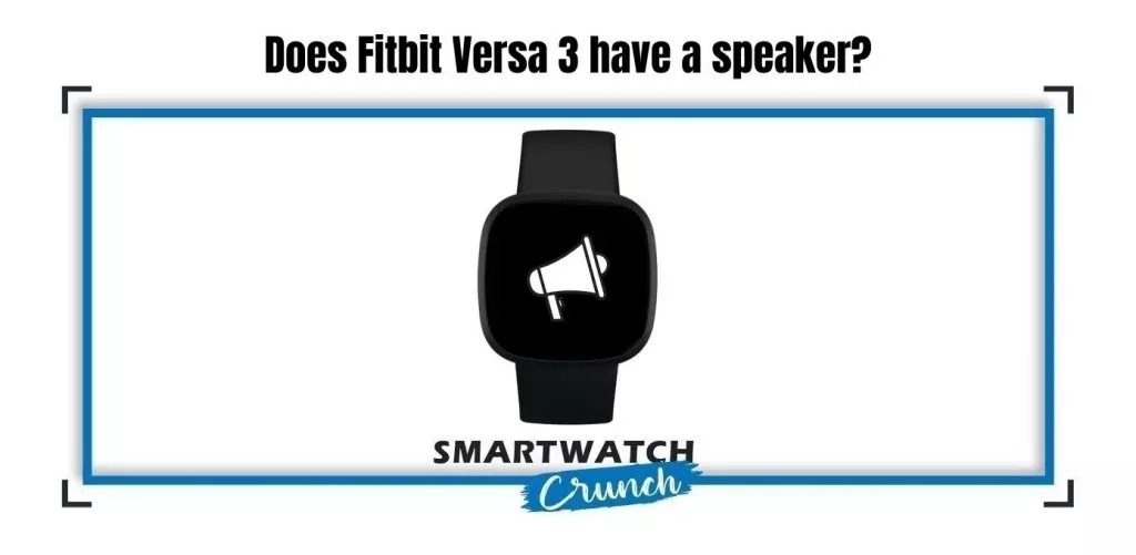 Speaker on the fitbit