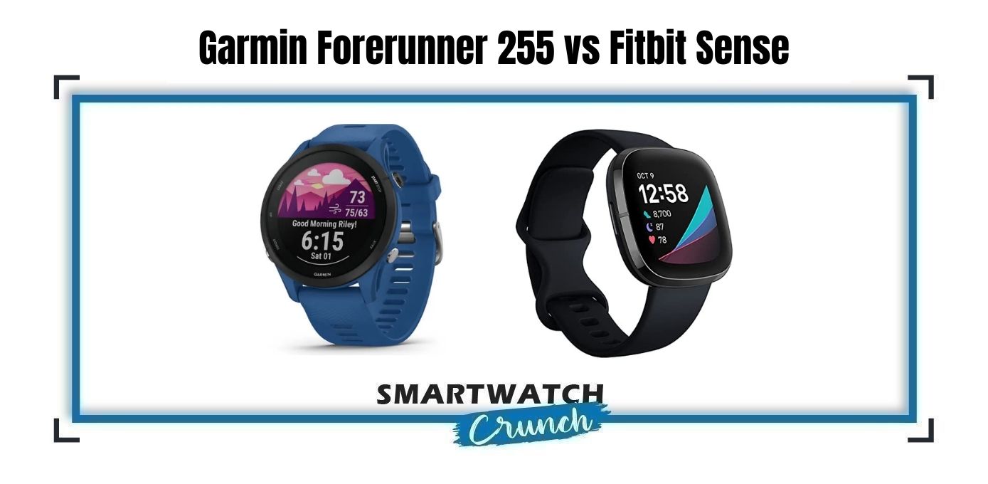 FR 255 vs Fitbit